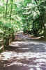reunion.park.01.jpg (1221105 bytes)